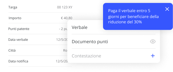 preview servizio multe